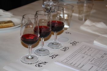 Degustazione dei vini novelli