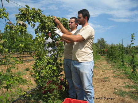 Marduk Brewery – Anima agricola