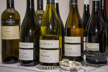 Lis Neris – Wine Experience