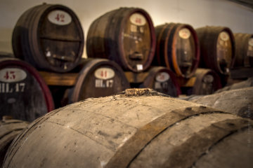 Mario Soldati e la Sardegna in “Vino al vino”