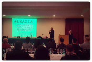 Vins d'Alsace: fascino senza tempo