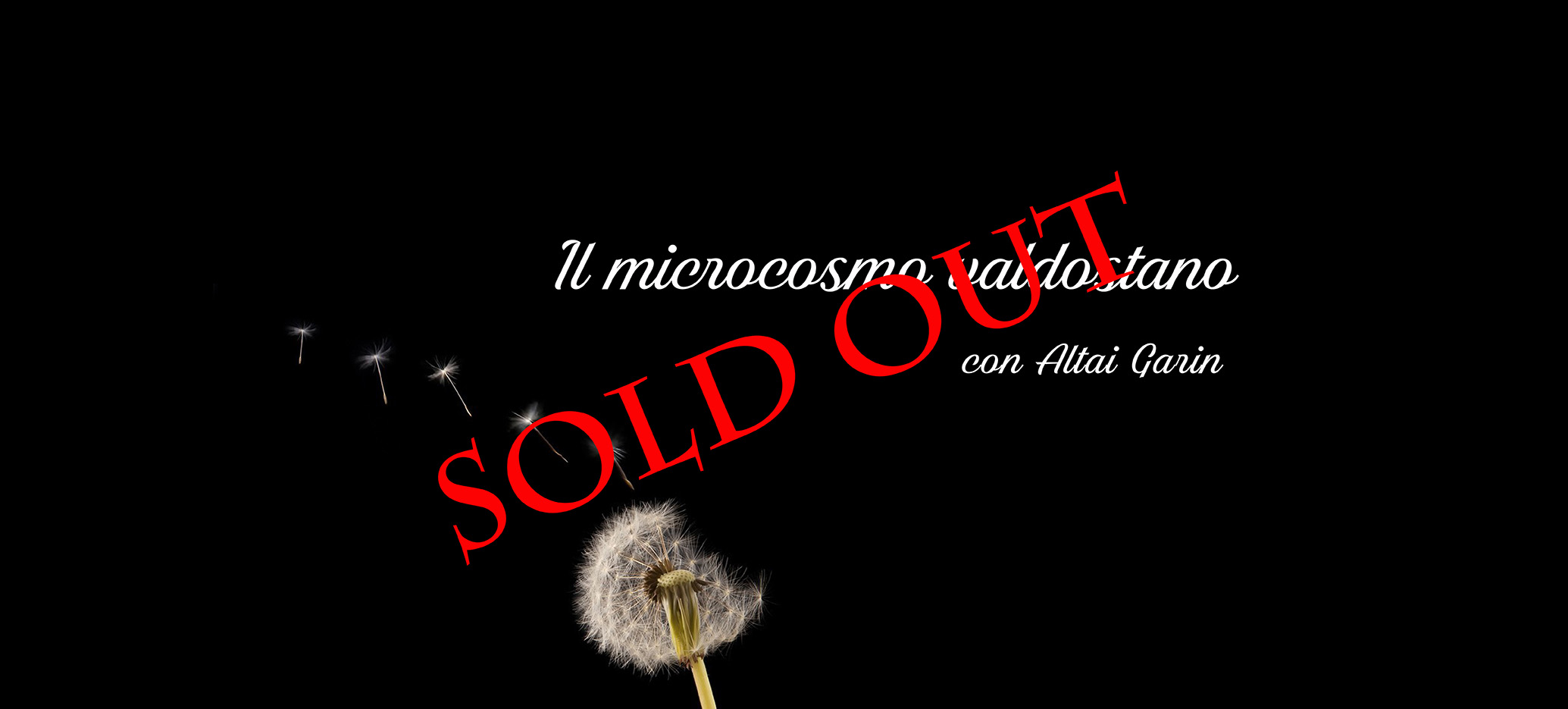 microcosmo sito sold out