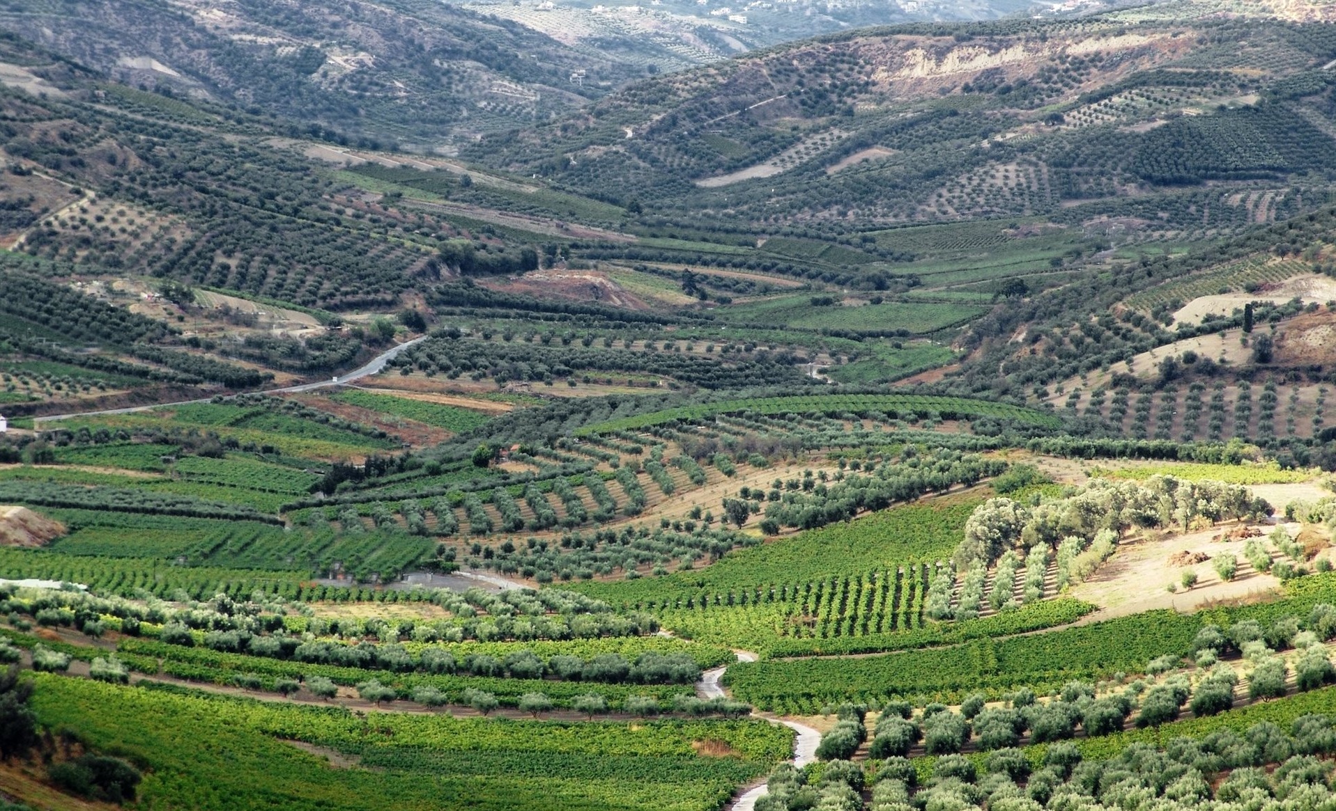 douloufakis panorama – Copia