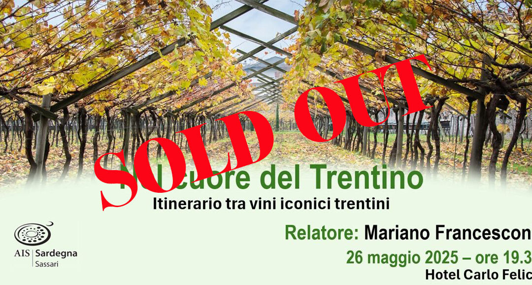 NEL CUORE DEL TRENTINO. Itinerario tra vini iconici trentini.
