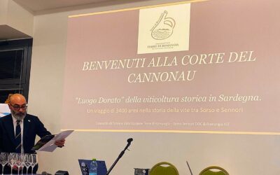 Calici di Romangia